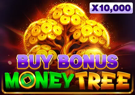 Money Tree Buy Bonus oyunu